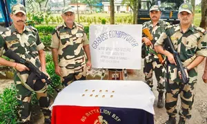 BSF seizes over 1 kg gold along Indo-Bangladesh Border