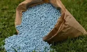Centre announces Rs 24,475 crore subsidy for winter crop fertilisers