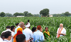 Cabinet okays Rs 35,000 cr PM-AASHA scheme extension to empower farmers