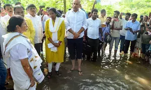 Bengal CM asks protesting doctors to rejoin work amid looming health crisis