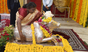 President Murmu wins hearts in MP, seeks blessing of Mahakaal