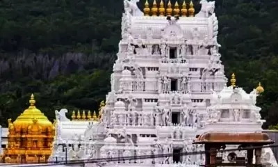 Lab report confirms presence of animal fat in Tirumala laddu, claims TDP