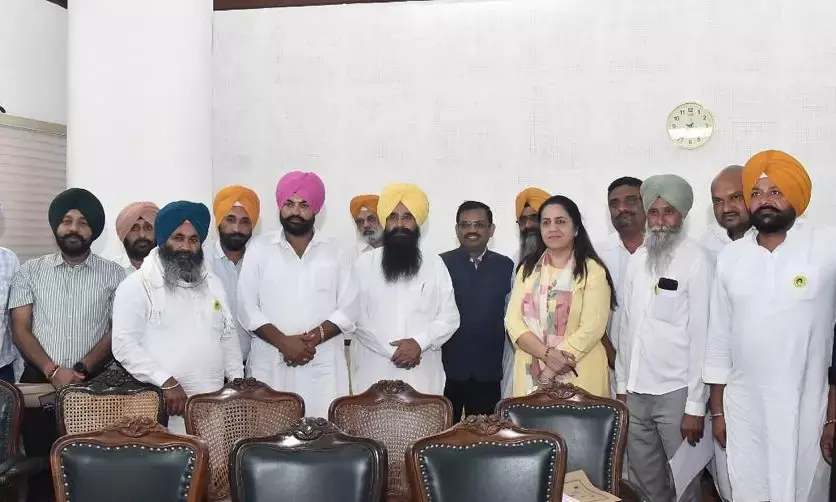 Punjab Cracks Down on Fertiliser Mislabelling: Four Teams Formed to Check Illegal Practice