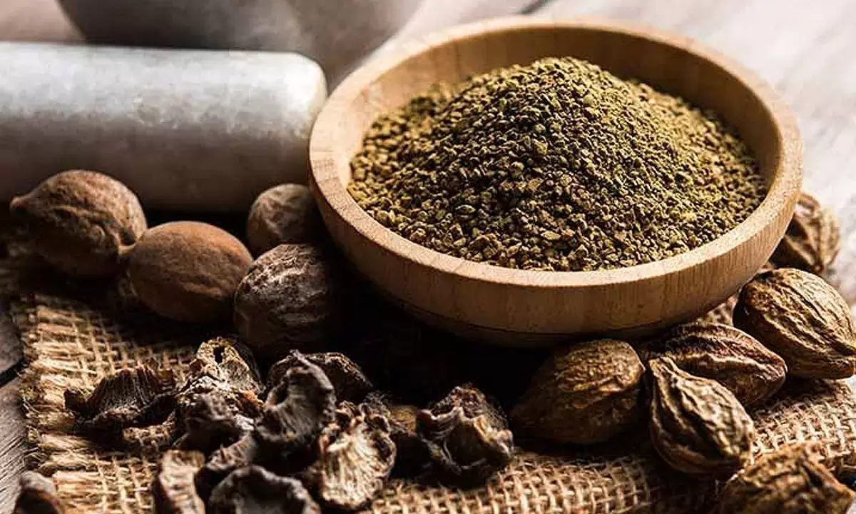The Visionary Herb: Unlocking the Benefits of Triphala for Eye Care