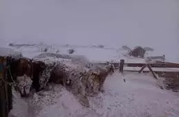 Mongolia experiences sudden drop in temperature, early snowfall Mongolia experiences sudden drop in temperature, early snowfall