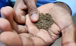 Education & Health Ministry ask states to effectively implement tobacco guidelines