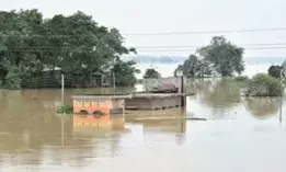 Flood situation improves in West Bengal