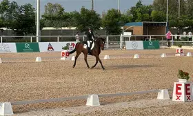 Dressage National: Inaara Mehta Luthria bags top spot with gold medal