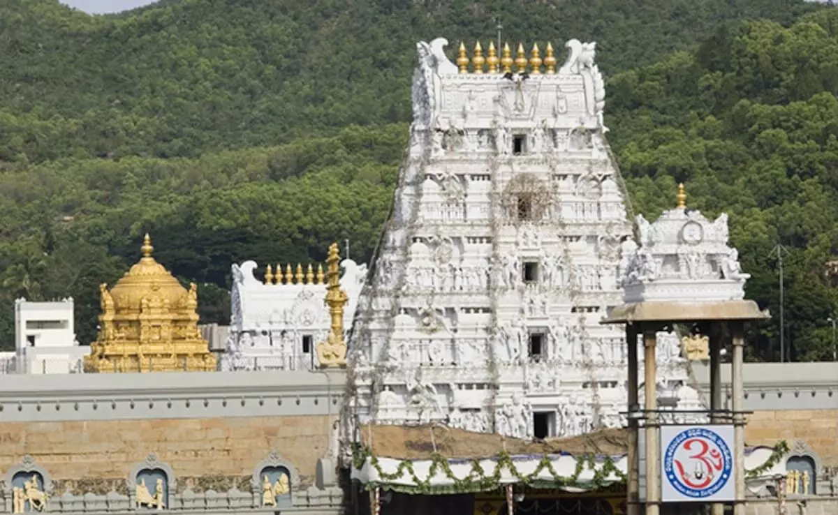 YSR Congress Moves to High Court Against Allegations of Adulterated Ghee in Tirupati Temple Prasad YSR Congress Moves to High Court Against Allegations of Adulterated Ghee in Tirupati Temple Prasad