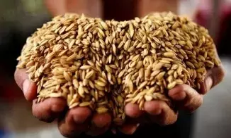 India joins Brazil, Bhutan to enhance food safety, foster technical collaboration