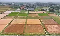 S.Korea: One dead, farms flooded after heavy rains in southern regions