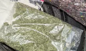 Moroccan authorities seize over 8 tonnes of cannabis resin