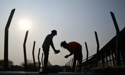 New Zealands work-related injuries on rise