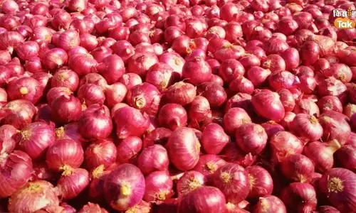 Onion Prices Soar: Government to Increase Buffer Stock Releases to Stabilize Market