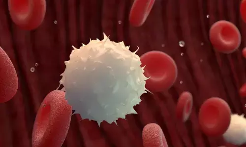 The Dangers of High White Blood Cell Count: Risks, Symptoms, and Causes