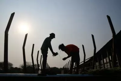 New Zealands work-related injuries on rise New Zealands work-related injuries on rise