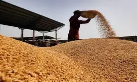 India clocks record foodgrain production at 3,323 lakh metric tonnes in 2023-24