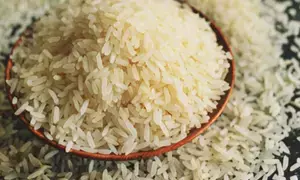Centre provides 1,379 MT rice to Mizoram for Manipur, Myanmar, Bdesh refugees