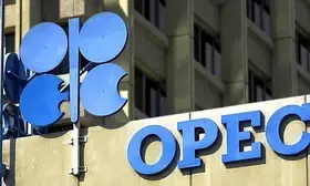 Global energy demand to grow 24 per cent by 2050 with oil dominating: OPEC