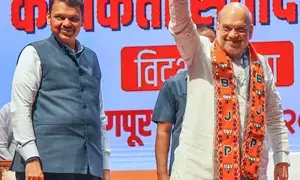 Work with resolve for MahaYuti’s victory in Maha poll: Amit Shah