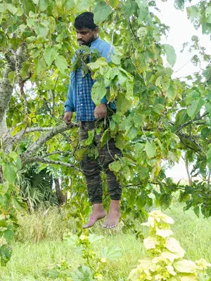 K’taka: Suspected killer, who chopped woman into 50 pieces, commits suicide