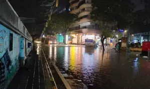Mumbai braces for more rain today, schools-colleges shut; 4 killed so far