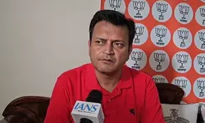 No culprits should be spared: BJPs Ajay Alok on Sacramento BAPS temple vandalism