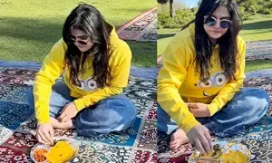 Zareen Khan captures essence of Kashmir in throwback video enjoying sarson da saag