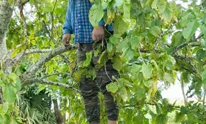 Bengaluru murder case: Accused family claims victim of blackmailing him