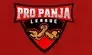Pro Panja League season 2 postponed following co-founders accident