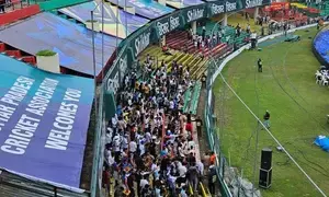 Langurs hired to ward off monkey menace at Green Park Stadium in Kanpur