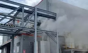 South Korea: 16 hospitalised after toxic chemical leak in Ulsan plant