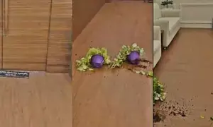 BJP seeks probe into vandalism at Maha Dy CMs office by woman