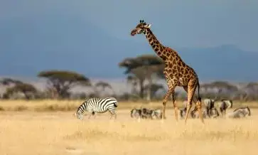 Kenya launches nine regional circuits to boost tourism