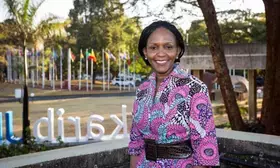 UN releases US$10 million emergency humanitarian funds for Lebanon aid