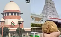 SC to hear petitions seeking probe into presence of animal fat in Tirupati laddus on Sep 30