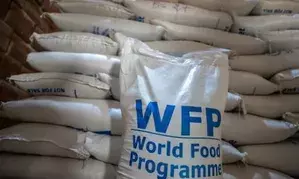 WFP launches emergency food operation for conflict-affected people in Lebanon