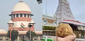 SC to hear petitions seeking probe into presence of animal fat in Tirupati laddus on Sep 30 SC to hear petitions seeking probe into presence of animal fat in Tirupati laddus on Sep 30