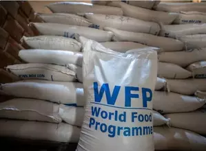 WFP launches emergency food operation for conflict-affected people in Lebanon