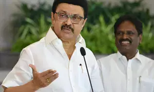 TN to bring out policy to preserve tribal languages in four months: Officials