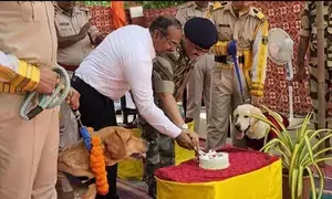Chennai airports CISF bids farewell to sniffer dog Ceaser on his retirement