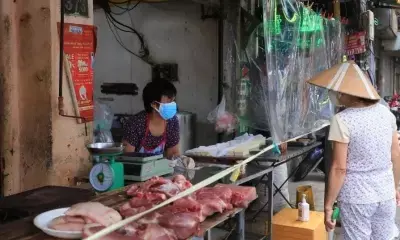 Vietnams pepper exports exceed one billion USD in nine months