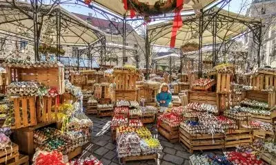 Austrias 2023 GDP decline revised to 1 per cent