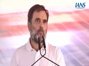 In last-minute push for Oct 5 polls, Rahul Gandhi begins roadshows in Haryana In last-minute push for Oct 5 polls, Rahul Gandhi begins roadshows in Haryana