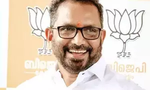 BJP asks Kerala CM to come clean on who is doing his PR work