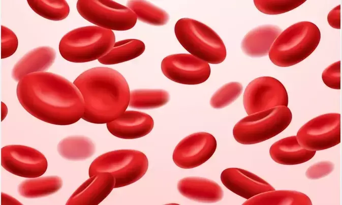 What is Anemia: Its Causes, Symptoms, and Prevention
