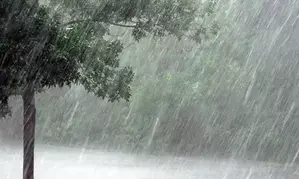 Northeast monsoon to hit TN by October end, says Weather Department