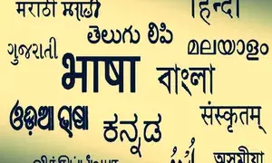 Empowering employment: The role of classical languages in job creation