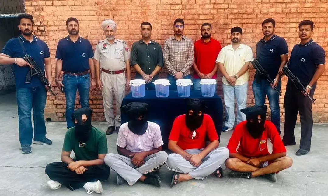 Punjab Police Foils Dacoity Bid with Bust of Jassa Burj Gang; Kingpin Among 4 Held, 4 Pistols Recovered