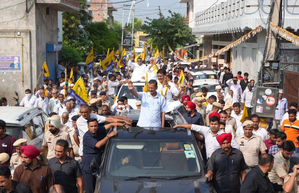 Did the AAP impact Congress chances in Haryana?